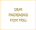 Our Packages